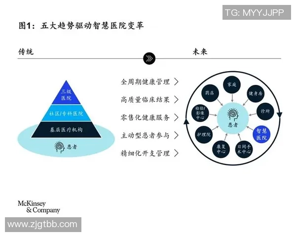 上海羽毛球队状态深度对比分析及未来发展趋势探讨