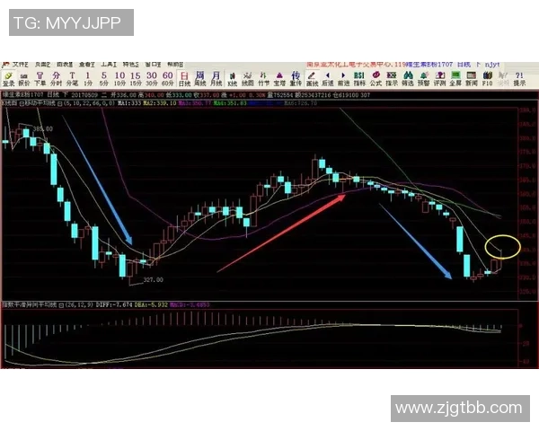 南京网球队在欧锦赛中的技术表现分析与点评